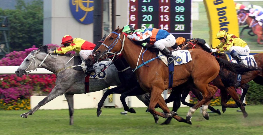 horse racing hong kong