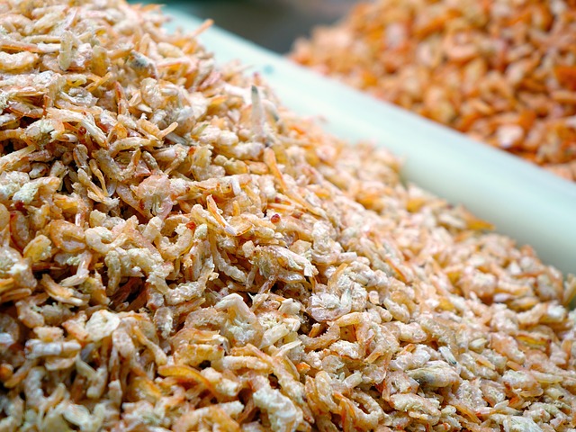 dried-shrimps-547701_640