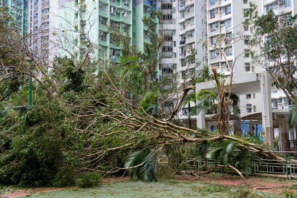 Impact of typhoon in Hong Kong