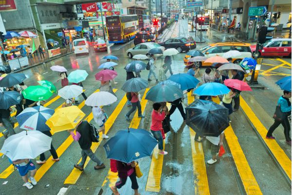 Umbrellas on a rainy Hong Kong day